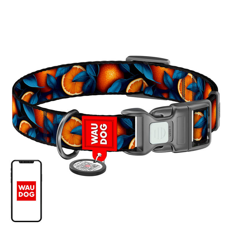 Zgardă pentru Câini Waudog Nylon Portocalie cu Cod QR, Mărimea L