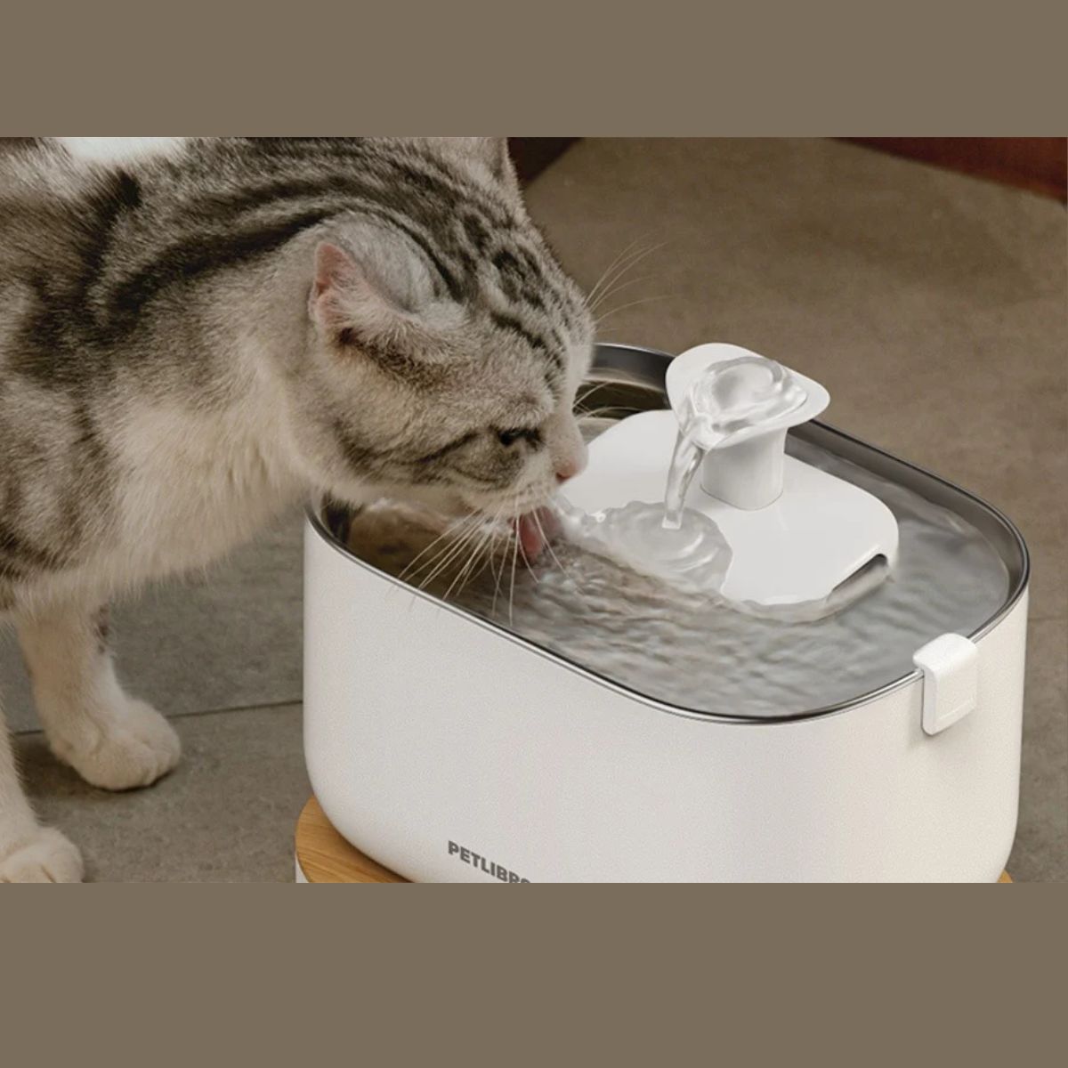 Fântână inteligentă de apă Petlibro Dockstream 2,5L cu WiFi și sistem PawSense - imagine 5